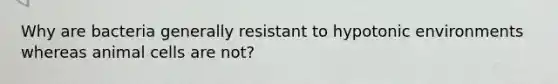 Why are bacteria generally resistant to hypotonic environments whereas animal cells are not?