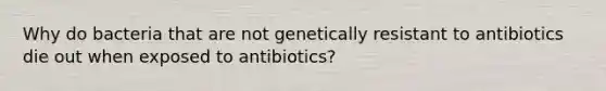 Why do bacteria that are not genetically resistant to antibiotics die out when exposed to antibiotics?