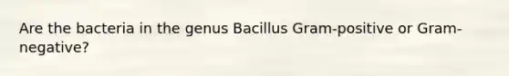 Are the bacteria in the genus Bacillus Gram-positive or Gram-negative?