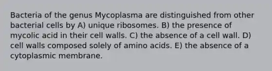 Bacteria of the genus Mycoplasma are distinguished from other bacterial cells by A) unique ribosomes. B) the presence of mycolic acid in their cell walls. C) the absence of a cell wall. D) cell walls composed solely of amino acids. E) the absence of a cytoplasmic membrane.