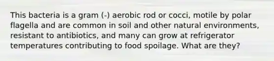 This bacteria is a gram (-) aerobic rod or cocci, motile by polar flagella and are common in soil and other natural environments, resistant to antibiotics, and many can grow at refrigerator temperatures contributing to food spoilage. What are they?