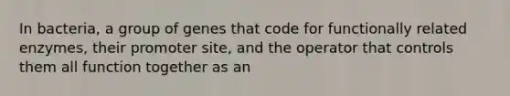 In bacteria, a group of genes that code for functionally related enzymes, their promoter site, and the operator that controls them all function together as an