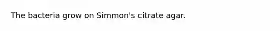 The bacteria grow on Simmon's citrate agar.