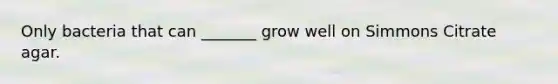 Only bacteria that can _______ grow well on Simmons Citrate agar.
