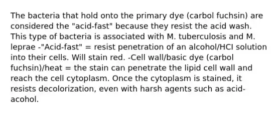 The bacteria that hold onto the primary dye (carbol fuchsin) are considered the "acid-fast" because they resist the acid wash. This type of bacteria is associated with M. tuberculosis and M. leprae -"Acid-fast" = resist penetration of an alcohol/HCI solution into their cells. Will stain red. -Cell wall/basic dye (carbol fuchsin)/heat = the stain can penetrate the lipid cell wall and reach the cell cytoplasm. Once the cytoplasm is stained, it resists decolorization, even with harsh agents such as acid-acohol.