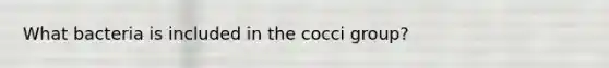 What bacteria is included in the cocci group?