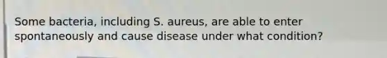 Some bacteria, including S. aureus, are able to enter spontaneously and cause disease under what condition?