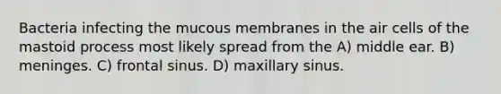 Bacteria infecting the mucous membranes in the air cells of the mastoid process most likely spread from the A) middle ear. B) meninges. C) frontal sinus. D) maxillary sinus.