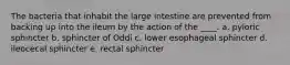 The bacteria that inhabit the large intestine are prevented from backing up into the ileum by the action of the ____. a. pyloric sphincter b. sphincter of Oddi c. lower esophageal sphincter d. ileocecal sphincter e. rectal sphincter