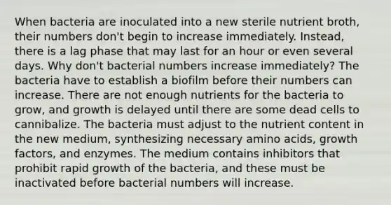 When bacteria are inoculated into a new sterile nutrient broth, their numbers don't begin to increase immediately. Instead, there is a lag phase that may last for an hour or even several days. Why don't bacterial numbers increase immediately? The bacteria have to establish a biofilm before their numbers can increase. There are not enough nutrients for the bacteria to grow, and growth is delayed until there are some dead cells to cannibalize. The bacteria must adjust to the nutrient content in the new medium, synthesizing necessary amino acids, growth factors, and enzymes. The medium contains inhibitors that prohibit rapid growth of the bacteria, and these must be inactivated before bacterial numbers will increase.