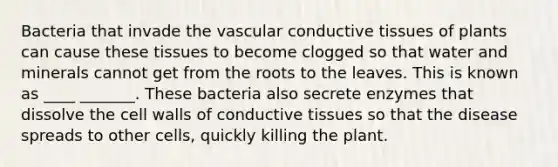 Bacteria that invade the vascular conductive tissues of plants can cause these tissues to become clogged so that water and minerals cannot get from the roots to the leaves. This is known as ____ _______. These bacteria also secrete enzymes that dissolve the cell walls of conductive tissues so that the disease spreads to other cells, quickly killing the plant.