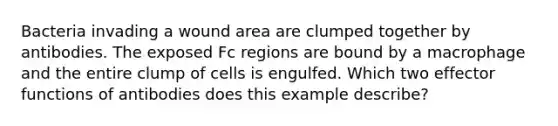 Bacteria invading a wound area are clumped together by antibodies. The exposed Fc regions are bound by a macrophage and the entire clump of cells is engulfed. Which two effector functions of antibodies does this example describe?