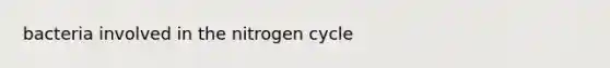 bacteria involved in <a href='https://www.questionai.com/knowledge/kbs8ipDdy2-the-nitrogen-cycle' class='anchor-knowledge'>the nitrogen cycle</a>