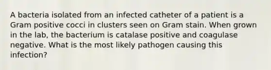 A bacteria isolated from an infected catheter of a patient is a Gram positive cocci in clusters seen on Gram stain. When grown in the lab, the bacterium is catalase positive and coagulase negative. What is the most likely pathogen causing this infection?