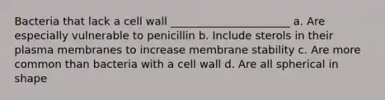 Bacteria that lack a cell wall ______________________ a. Are especially vulnerable to penicillin b. Include sterols in their plasma membranes to increase membrane stability c. Are more common than bacteria with a cell wall d. Are all spherical in shape