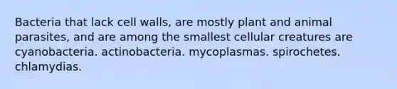 Bacteria that lack cell walls, are mostly plant and animal parasites, and are among the smallest cellular creatures are cyanobacteria. actinobacteria. mycoplasmas. spirochetes. chlamydias.