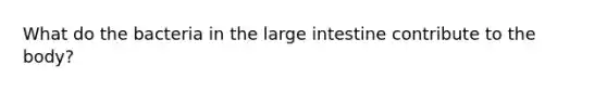 What do the bacteria in the large intestine contribute to the body?