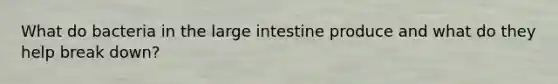 What do bacteria in the large intestine produce and what do they help break down?