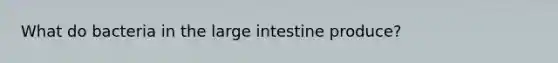 What do bacteria in the large intestine produce?