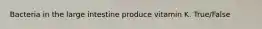 Bacteria in the large intestine produce vitamin K. True/False