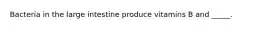 Bacteria in the large intestine produce vitamins B and _____.