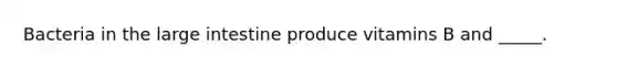 Bacteria in the <a href='https://www.questionai.com/knowledge/kGQjby07OK-large-intestine' class='anchor-knowledge'>large intestine</a> produce vitamins B and _____.