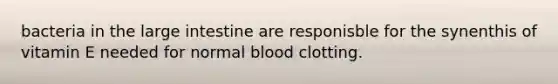 bacteria in the large intestine are responisble for the synenthis of vitamin E needed for normal blood clotting.