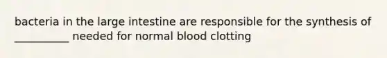 bacteria in the <a href='https://www.questionai.com/knowledge/kGQjby07OK-large-intestine' class='anchor-knowledge'>large intestine</a> are responsible for the synthesis of __________ needed for normal blood clotting