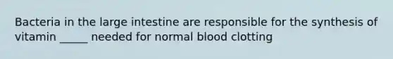 Bacteria in the large intestine are responsible for the synthesis of vitamin _____ needed for normal blood clotting