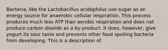 Bacteria, like the Lactobacillus acidophilus use sugar as an energy source for anaerobic <a href='https://www.questionai.com/knowledge/k1IqNYBAJw-cellular-respiration' class='anchor-knowledge'>cellular respiration</a>. This process produces much less ATP than <a href='https://www.questionai.com/knowledge/kyxGdbadrV-aerobic-respiration' class='anchor-knowledge'>aerobic respiration</a> and does not produce carbon dioxide as a by-product. It does, however, give yogurt its sour taste and prevents other food spoiling bacteria from developing. This is a description of