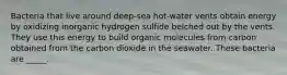 Bacteria that live around deep-sea hot-water vents obtain energy by oxidizing inorganic hydrogen sulfide belched out by the vents. They use this energy to build organic molecules from carbon obtained from the carbon dioxide in the seawater. These bacteria are _____.