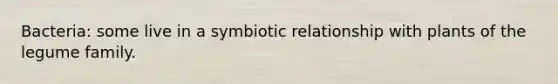 Bacteria: some live in a symbiotic relationship with plants of the legume family.