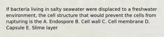 If bacteria living in salty seawater were displaced to a freshwater environment, the cell structure that would prevent the cells from rupturing is the A. Endospore B. Cell wall C. Cell membrane D. Capsule E. Slime layer