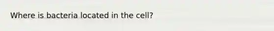 Where is bacteria located in the cell?