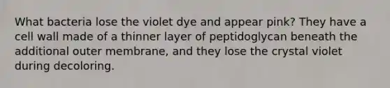 What bacteria lose the violet dye and appear pink? They have a cell wall made of a thinner layer of peptidoglycan beneath the additional outer membrane, and they lose the crystal violet during decoloring.