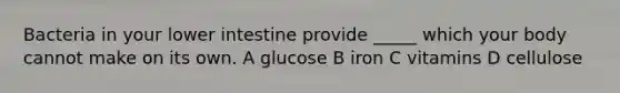 Bacteria in your lower intestine provide _____ which your body cannot make on its own. A glucose B iron C vitamins D cellulose