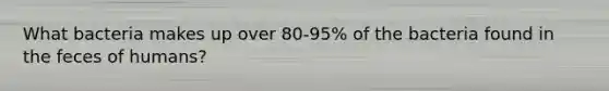 What bacteria makes up over 80-95% of the bacteria found in the feces of humans?