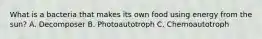 What is a bacteria that makes its own food using energy from the sun? A. Decomposer B. Photoautotroph C. Chemoautotroph