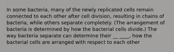 In some bacteria, many of the newly replicated cells remain connected to each other after <a href='https://www.questionai.com/knowledge/kjHVAH8Me4-cell-division' class='anchor-knowledge'>cell division</a>, resulting in chains of bacteria, while others separate completely. (The arrangement of bacteria is determined by how the bacterial cells divide.) The way bacteria separate can determine their __ ____, how the bacterial cells are arranged with respect to each other