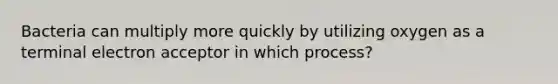 Bacteria can multiply more quickly by utilizing oxygen as a terminal electron acceptor in which process?