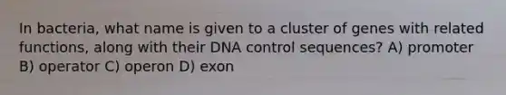 In bacteria, what name is given to a cluster of genes with related functions, along with their DNA control sequences? A) promoter B) operator C) operon D) exon