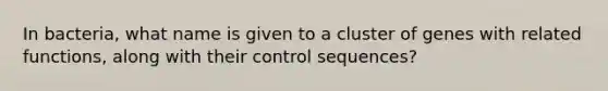 In bacteria, what name is given to a cluster of genes with related functions, along with their control sequences?