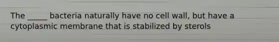 The _____ bacteria naturally have no cell wall, but have a cytoplasmic membrane that is stabilized by sterols