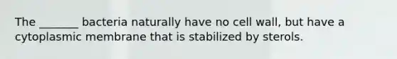 The _______ bacteria naturally have no cell wall, but have a cytoplasmic membrane that is stabilized by sterols.