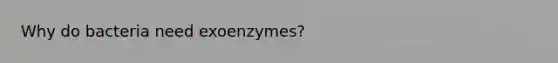 Why do bacteria need exoenzymes?