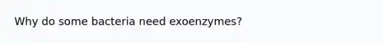 Why do some bacteria need exoenzymes?