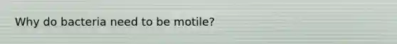 Why do bacteria need to be motile?