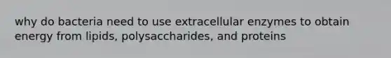 why do bacteria need to use extracellular enzymes to obtain energy from lipids, polysaccharides, and proteins