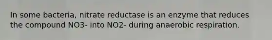 In some bacteria, nitrate reductase is an enzyme that reduces the compound NO3- into NO2- during anaerobic respiration.