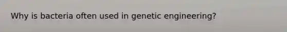 Why is bacteria often used in genetic engineering?